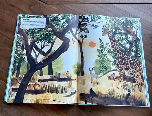 信谊世界精选图画书系列：动物伪装大师 商品图2