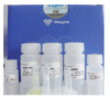 FastPure Plant Total RNA Isolation Kit (Polysaccharides& Polyphenolics –rich) 商品缩略图0