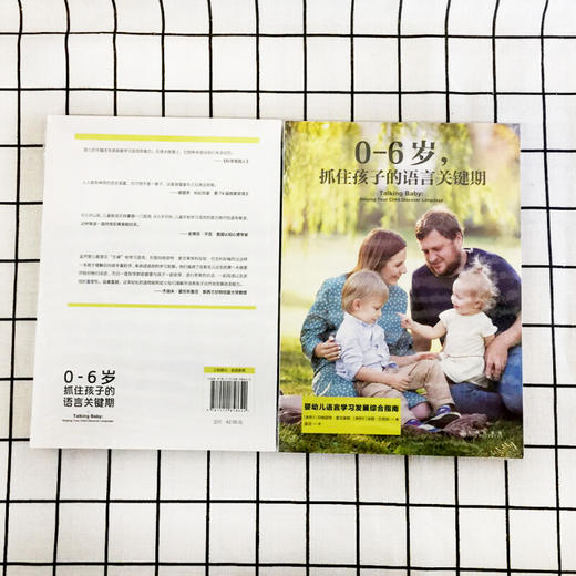 【正版】抓住孩子的语言关键期 0-6岁 婴幼儿语言学习发展综合指南书亲子家教方法书 辅导百科育儿家庭教育书 商品图3