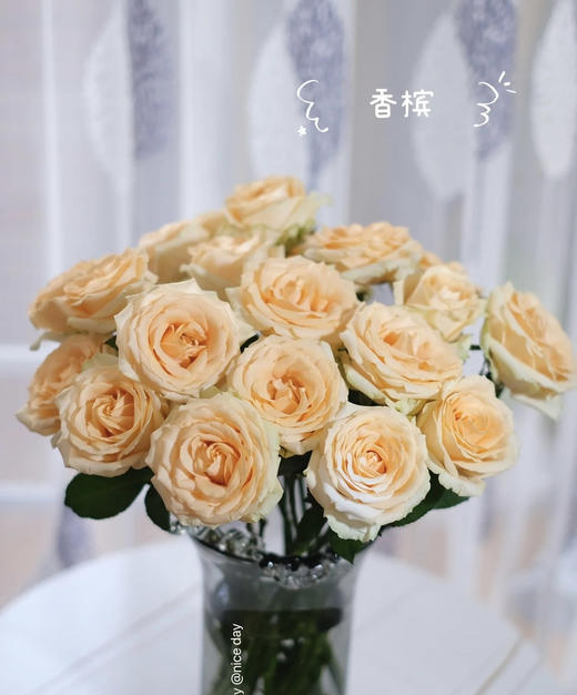 【拍市玫瑰】香槟玫（蜜桃雪山）10枝/扎   约60公分 商品图0