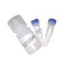 VEX Exosome Isolation Reagent (from plasma) 血浆外泌体提取试剂 商品缩略图0