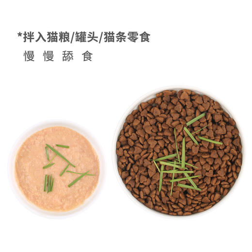 【无土猫草罐 轻松种植不操心】懒人猫草罐头吐毛球化毛促进消化栽培猫薄荷宠物猫零食 商品图4