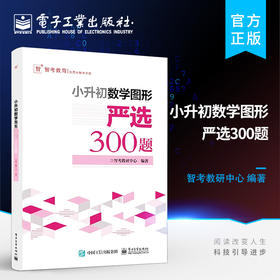 官方正版 小升初数学图形严选300题 智考教研中心 小升初数学考试解题方法技巧大全书籍小学生毕业考试数学复习 电子工业出版社