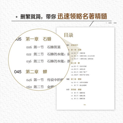 昆虫记(青少年科学素养文库新版) 商品图3