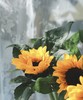 【基地直供】中型--向日葵  5枝/扎 商品缩略图2