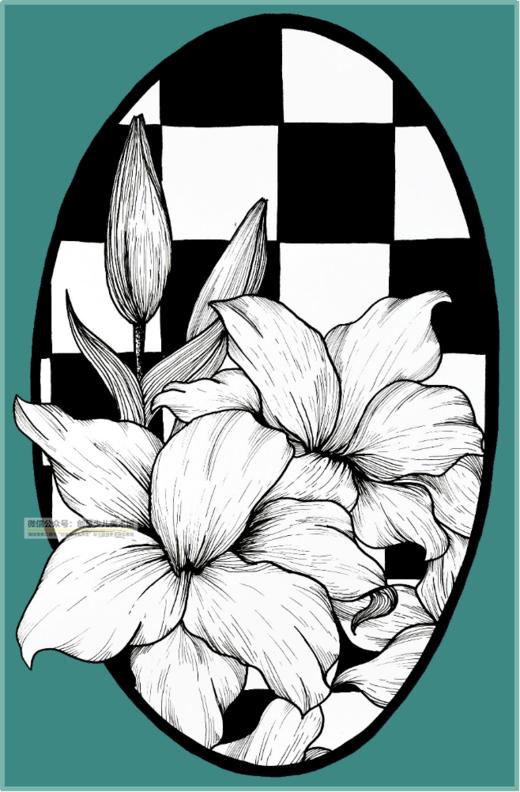 10-12岁《线描花卉》【自动发货：下单后，点击手机短信中收到的链接，即可获取文件下载的链接；如有任何问题，可添加客服微信hm33268获得帮助】
 商品图0