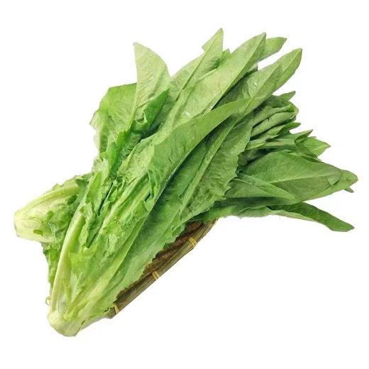 【LY】油麦菜 300±40g/袋 商品图1