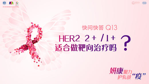 贺敏副主任医师：HER2 2+/1+适合做靶向治疗吗？ 商品图0