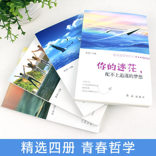 【优惠套装】全10册将来的你一定会感谢现在拼命的自己你不努力谁也给不了你想要的生活别在吃苦的年纪选择安逸励志青春文学小说畅销书籍排行榜 商品图4