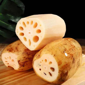 【LY】莲藕 500±30g/袋