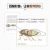 昆虫记(青少年科学素养文库新版) 商品缩略图6