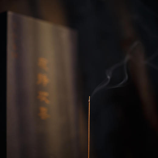 【二苏旧局·苏轼经典名方线香10g】大梦香堂 商品图2