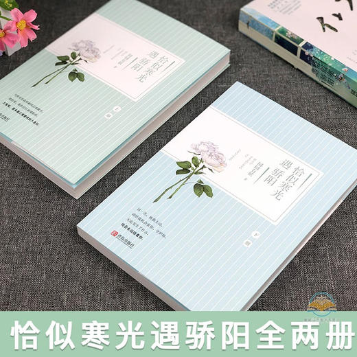 【优惠套装】签名版赠明信片+书签 恰似寒光遇骄阳小说书 囧囧有妖的书云起书院青春文学都市言情 总有一天你会喜欢我 君子报恩56全套作者 商品图4