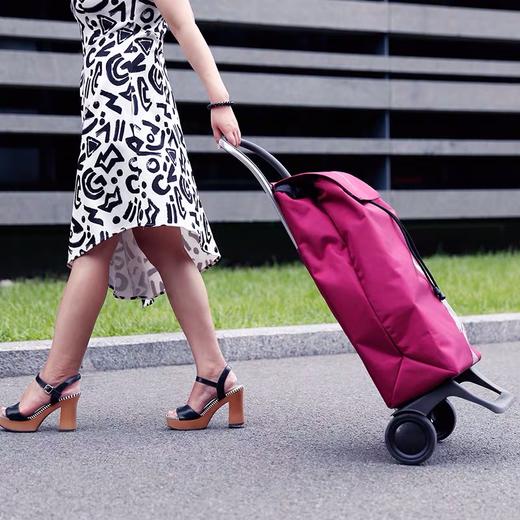 爬楼6轮可折叠购物车 43L 商品图1