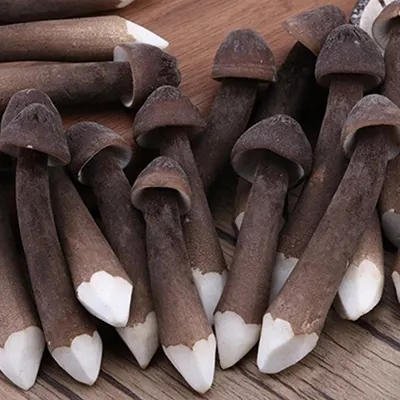 【LY】鸡枞菌 约150g/袋 商品图2