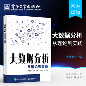 大数据分析：从理论到实践