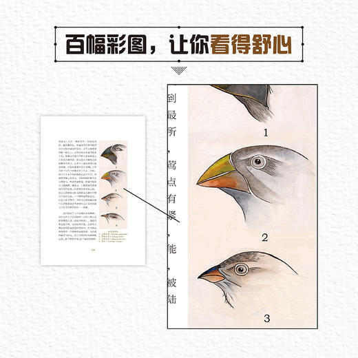 比格尔号航海日记(青少年科学素养文库新版) 商品图6