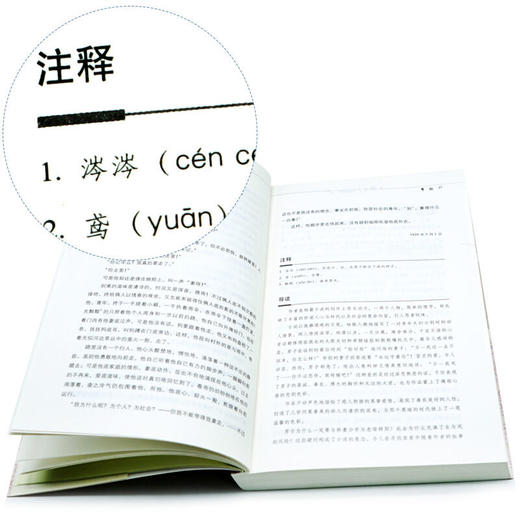 【优惠套装】中国现代名家经典沈从文+萧红+郁达夫+柔石小说经典+郭沫若史文经典共5册精选集小说 徐志摩散文精选(精)/中国现代名家经典书系 商品图4