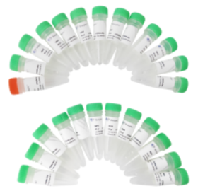 TruePrep Index Kit V4 for Illumina