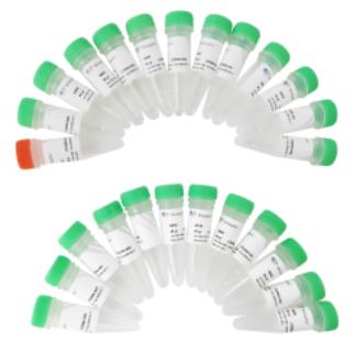 TruePrep Index Kit V4 for Illumina 商品图0