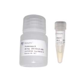 FastPure Bacteria DNA Isolation Mini Kit