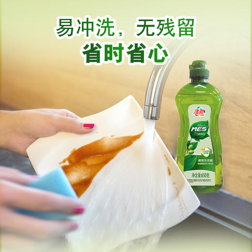 洁劲100橄榄洗洁精650G*1瓶 商品图2