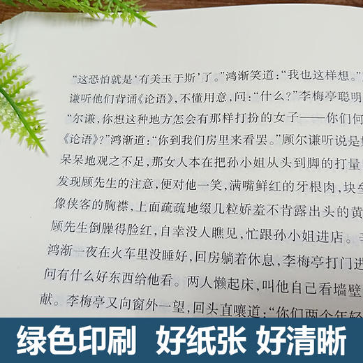 【优惠套装】全6册 九年级下必读课外书籍儒林外史和简爱 格列佛游记我是猫契诃夫短篇小说选围城正版包邮原著初中生白话文格列夫夏目漱石 商品图3