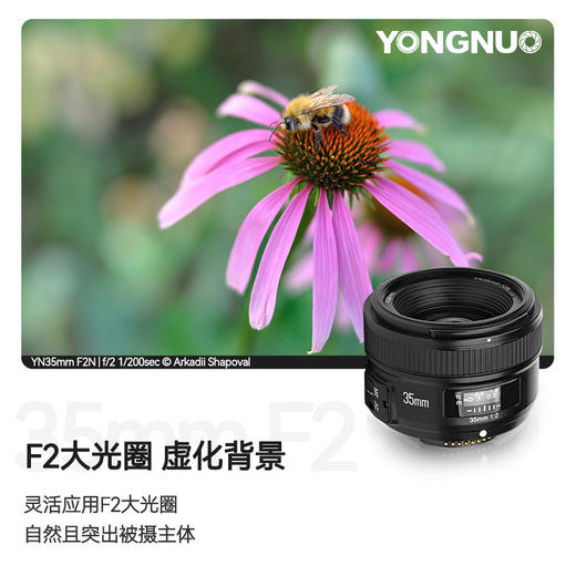 永诺 YN35mm F2 佳能口自动全画幅广角定焦镜头人像镜头 旅游风景 佳能EOS数码单反相机镜头【顺丰包邮，空运隔天到】 商品图2
