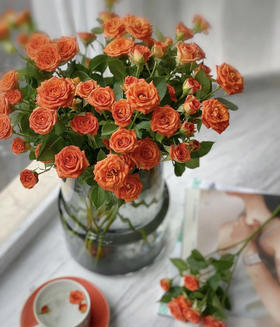 【昆明玫瑰】橙色芭比 10支/扎 A级