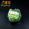 东升农场 有机西兰花 绿花椰菜 青椰菜花 广州供港新鲜蔬菜250g 商品缩略图5