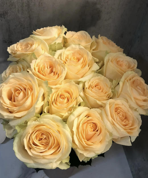 【拍市玫瑰】香槟玫（蜜桃雪山）10枝/扎   约60公分 商品图1