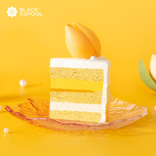 （此链接仅限14号配送）母亲节提前购福利~【莫奈花园.芒果椰子】以甜品和心意 构筑一座莫奈花园 商品图6