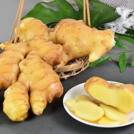【LY】水洗大黄姜 500g±30g/袋 商品图2