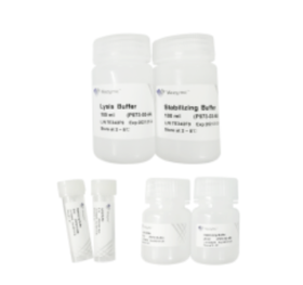 RoomTemp Sample Lysis Kit