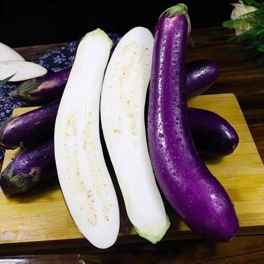 【LY】茄子 300±30g/袋 商品图1