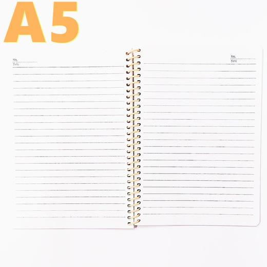 嘉顺达A5线圈笔记本60 80 100记事本子商务活页日记本螺旋本1本 商品图1
