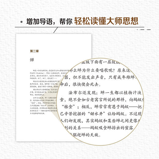 昆虫记(青少年科学素养文库新版) 商品图4