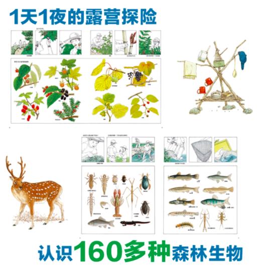 松冈达英科学绘本：和爸爸去森林探险 商品图1