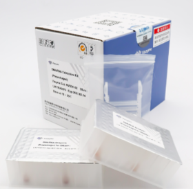 DNA/RNA Extraction Kit（Prepackaged）