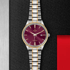 帝舵风尚系列 | 钢表壳，直径41毫米  黄金及钢外圈