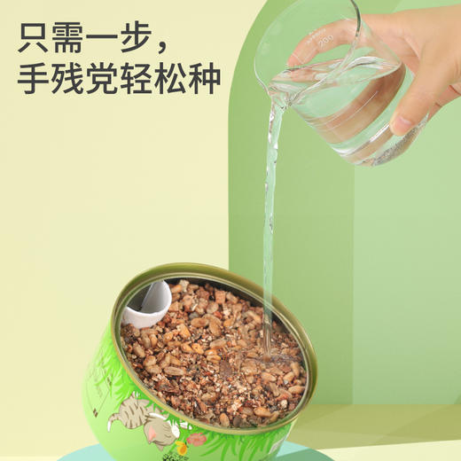 【无土猫草罐 轻松种植不操心】懒人猫草罐头吐毛球化毛促进消化栽培猫薄荷宠物猫零食 商品图1