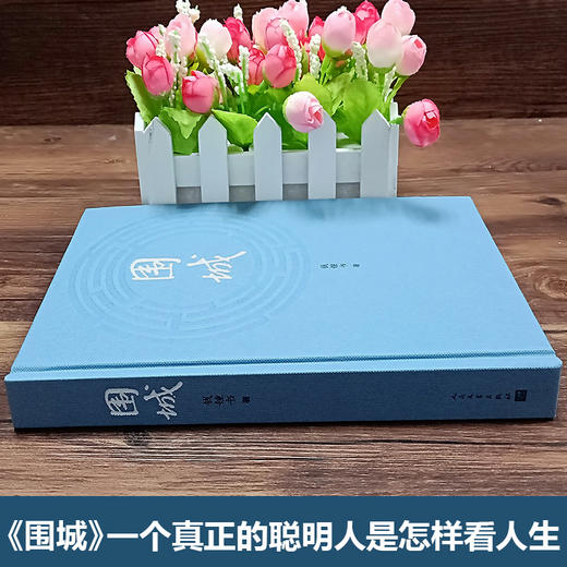 【优惠套装】全6册 九年级下必读课外书籍儒林外史和简爱 格列佛游记我是猫契诃夫短篇小说选围城正版包邮原著初中生白话文格列夫夏目漱石 商品图2