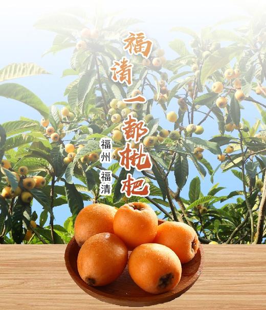 福清一都枇杷精装5斤/箱【MJ】 商品图0