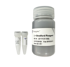 Bradford Protein Quantification Kit 商品缩略图0