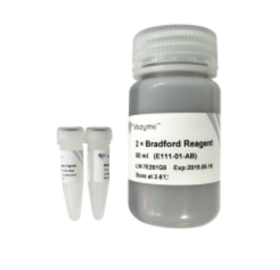 Bradford Protein Quantification Kit