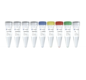 VAHTS RNA Multi-PCR Library Prep Kit