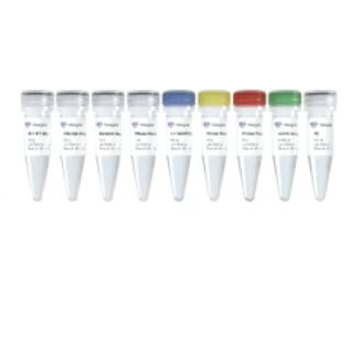 VAHTS RNA Multi-PCR Library Prep Kit 商品图0