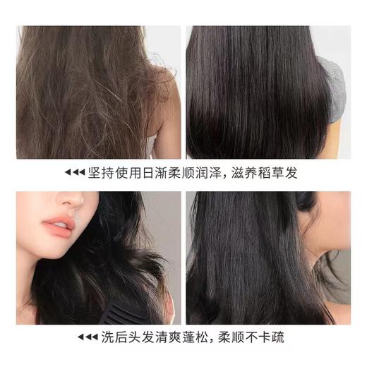 【防脱特证3瓶装】防脱育发洗发水 商品图3