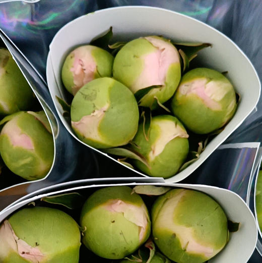 芍药--美国小姐 商品图0