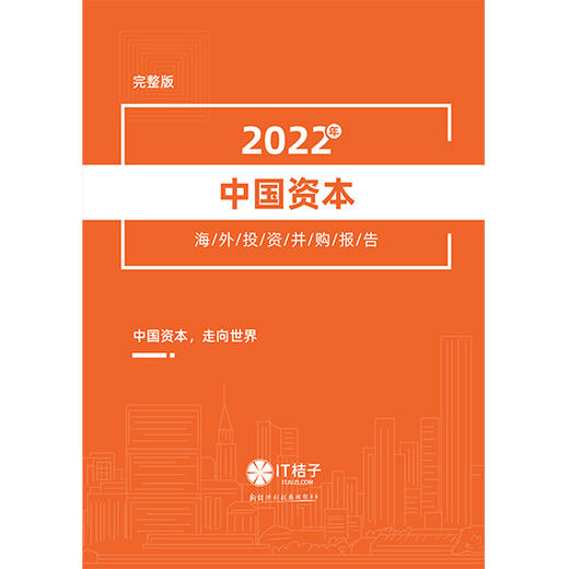 2022年中国资本海外投资并购报告 商品图0